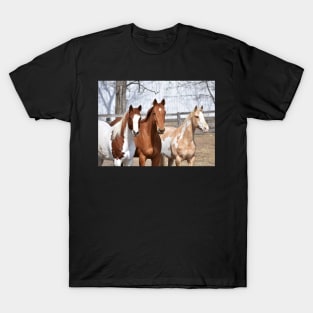 The mares T-Shirt